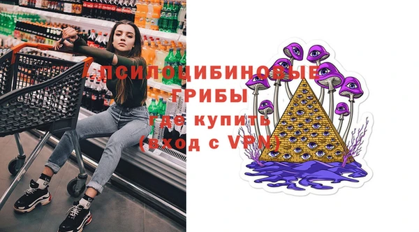 apvp Инсар