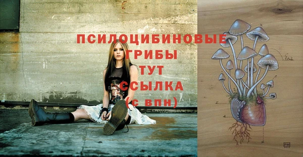 прущая мука Вяземский
