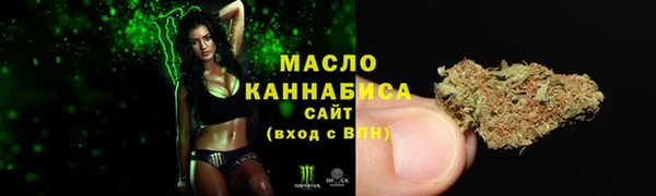 дмт Горняк